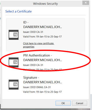 Authentication selection visual image